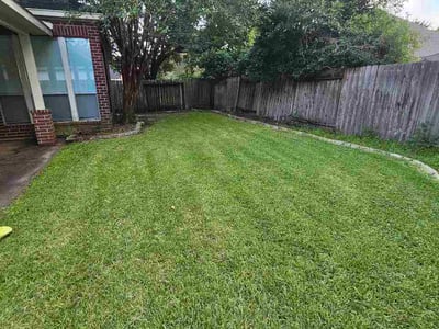 Lawn Care service in Katy, 77493