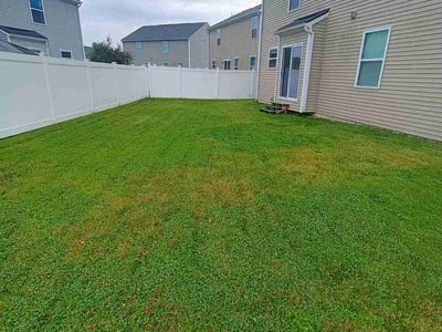 Lawn Care service in Ann Arbor, 48104