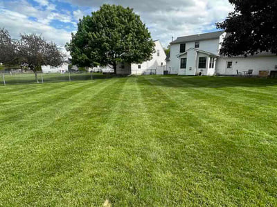 Lawn Care service in Ann Arbor, 48104