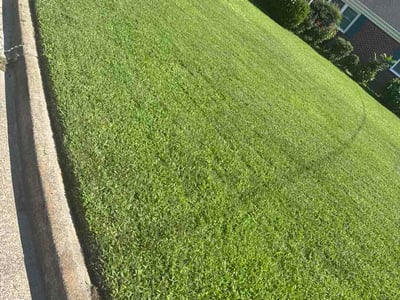 Lawn Care service in Christiansburg, 24073