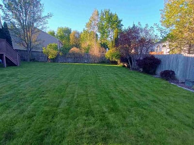 Lawn Care service in Ypsilanti, 48197