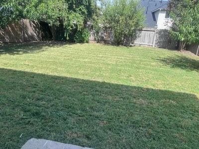 Lawn Care service in Cypress, 77429