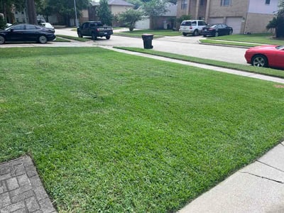 Lawn Care service in Cypress, 77429