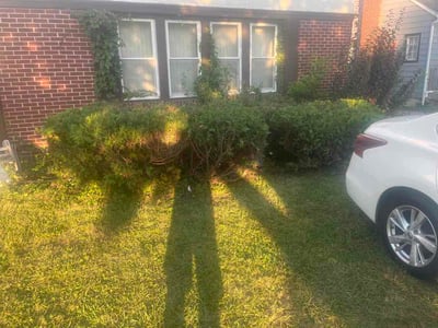 Lawn Care service in Coraopolis, 15108