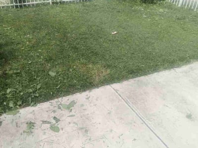 Lawn Care service in Charleston, 25301