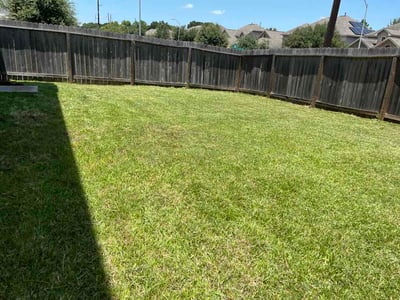 Lawn Care service in Brazoria, 77422