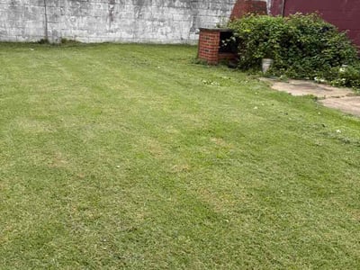 Lawn Care service in Charleston, 25301