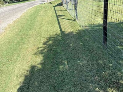 Lawn Care service in Granbury, 76048