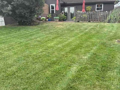 Lawn Care service in Independence, 64050