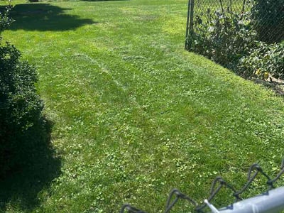 Lawn Care service in Canonsburg, 15317
