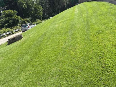 Lawn Care service in Butler, 16001