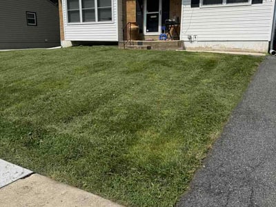 Lawn Care service in New Castle, 19720