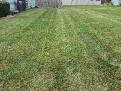 Lawn Care service in Menasha, 54952