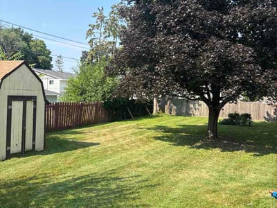 Lawn Care service in Coon Rapids, 55433