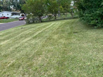Lawn Care service in Urbana, 61801