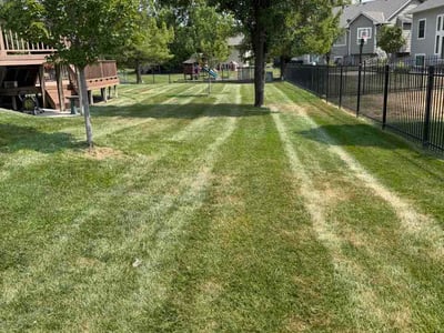 Lawn Care service in Andover, 67002