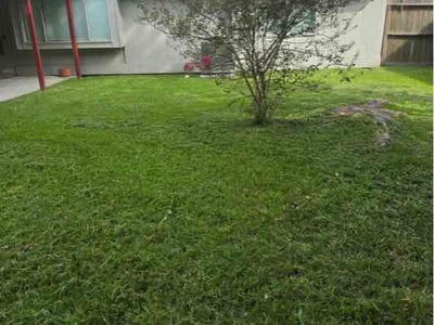 Lawn Care service in Bellaire, 77401