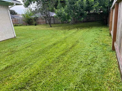 Lawn Care service in Bellaire, 77401