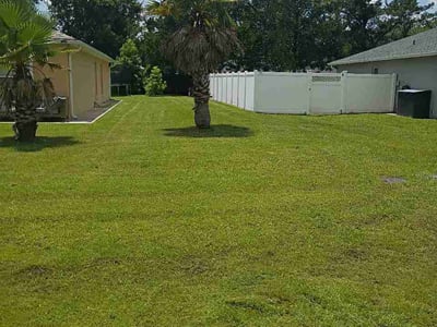 Lawn Care service in Flagler Beach, 32136