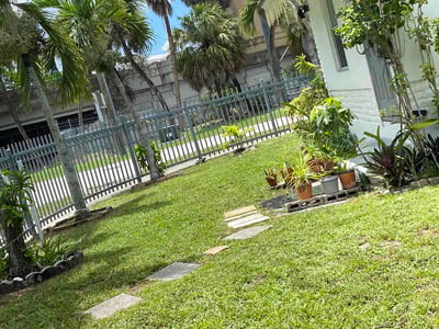 Lawn Care service in Miami Gardens, 33056