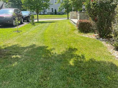 Lawn Care service in Easton, 18042