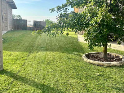 Lawn Care service in Newton, 67114