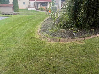 Lawn Care service in Easton, 18042