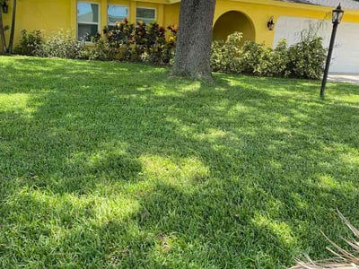 Lawn Care service in Miami Gardens, 33056
