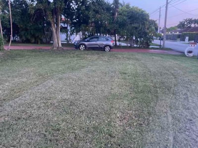 Lawn Care service in Opa Locka, 33054