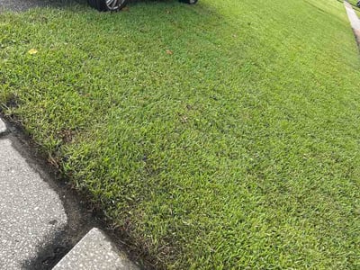 Lawn Care service in Winter Springs, 32708