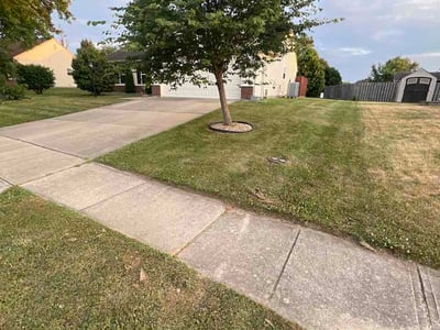 Lawn Care service in Gainesville, 20155
