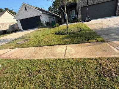 Lawn Care service in Alvin, 77511