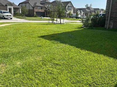 Lawn Care service in Alvin, 77511