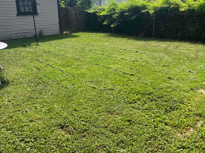 Lawn Care service in Roeland Park, 65401