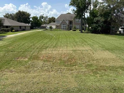 Lawn Care service in Baytown, 77520