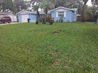 Lawn Care service in Citrus Park, 33625