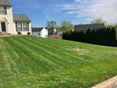 Lawn Care service in Coatesville, 19320