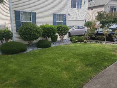 Lawn Care service in Bainbridge Island, 98110