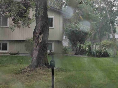 Lawn Care service in Maple Grove, 55311