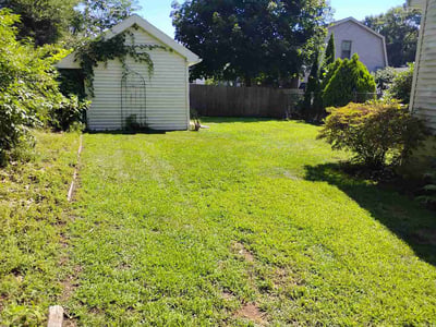 Lawn Care service in Auburn, 01501