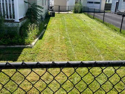Lawn Care service in Rome, 13440
