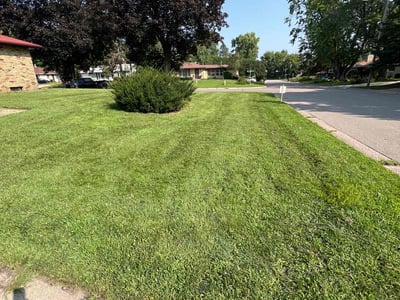 Lawn Care service in Roseville, 55113