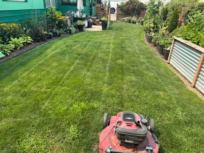 Lawn Care service in Nampa, 83651