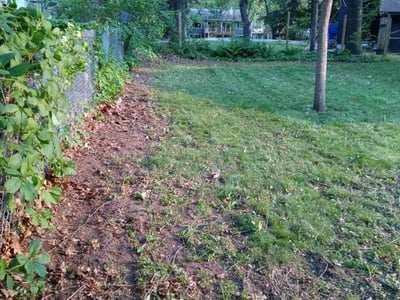 Lawn Care service in Roseville, 55113