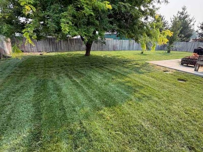 Lawn Care service in Nampa, 83651