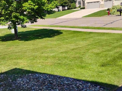 Lawn Care service in Bloomington, 55431