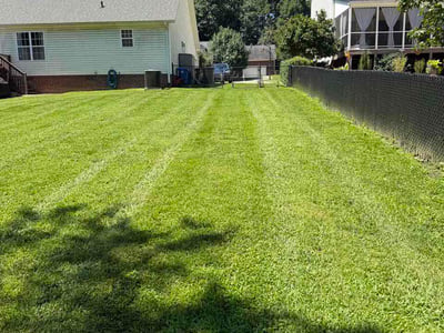Lawn Care service in Thomasville, 27360