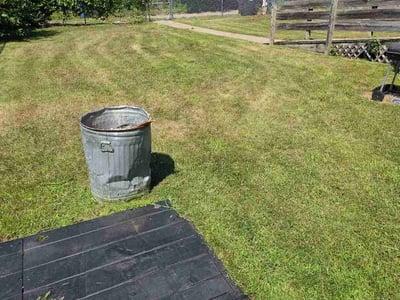 Lawn Care service in Bloomington, 55431
