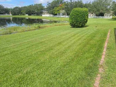 Lawn Care service in Lady Lake, 32159