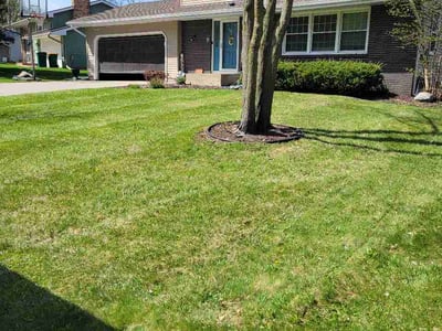 Lawn Care service in Hastings, 55033
